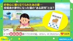 もはや論文レベル！小1が行った“猫に関する自由研究”が「これは博士になる才能では？」と話題