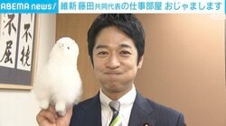 維新・藤田共同代表は「アルパカ」に似てる？ 並べると納得？ きっかけは先輩議員の妻のひと言