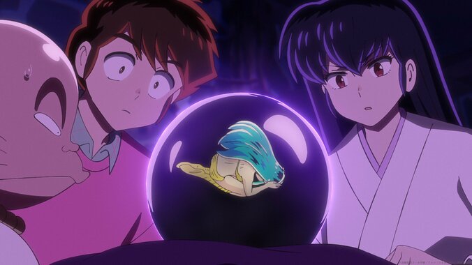 【写真・画像】アニメ「うる星やつら」ラムには知らぬ間に許嫁がいることがわかり…第43話あらすじ&先行カット公開　4枚目