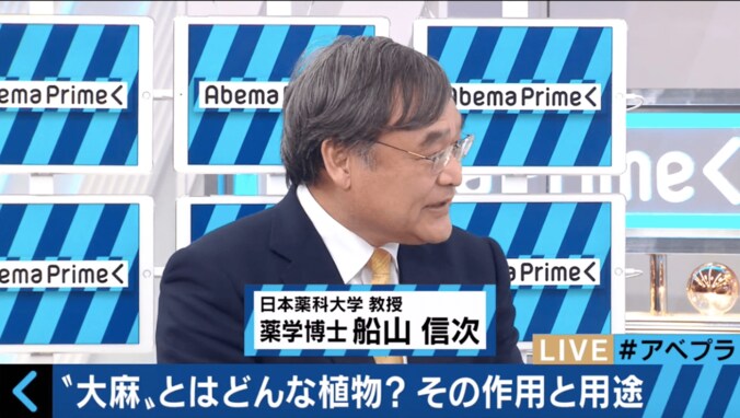 大麻栽培の許可得ても所持で逮捕　産業用大麻とはいったい何か、専門家が解説 2枚目