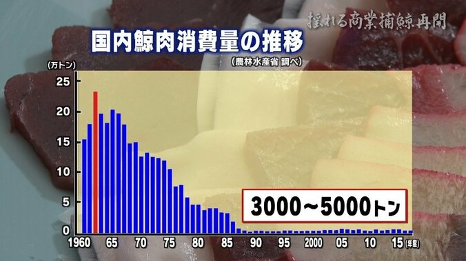 “航路は開けど、視界は不良”…商業捕鯨再開も、クジラの街・下関の関係者に残る不安 3枚目