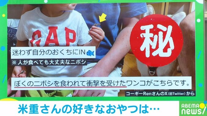 楽しいおやつの時間が…もらえるはずだったニボシを食べられなかった犬の“唖然とした表情”に「顔が全てを物語っている」「ワイの食われた…」と反響 2枚目