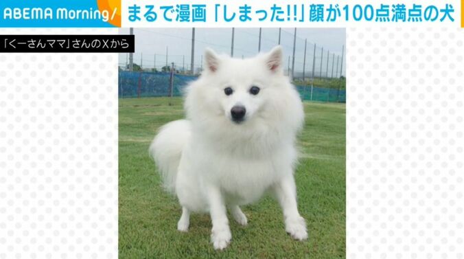 楽くん