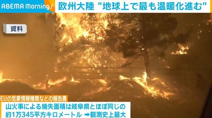 山火事の様子