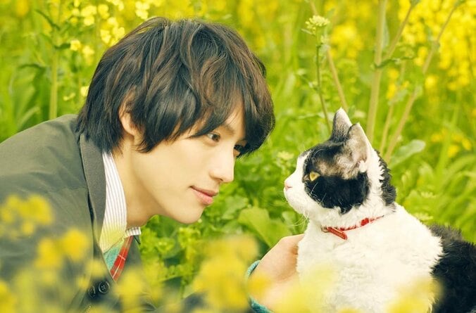 福士蒼汰「人と動物、それぞれの愛感じて」  猫・ナナとの“恋愛超え”の絆に海外も絶賛 5枚目