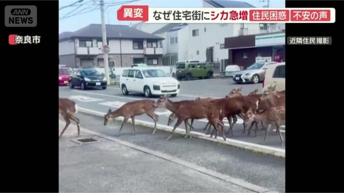 後ろでは車が渋滞