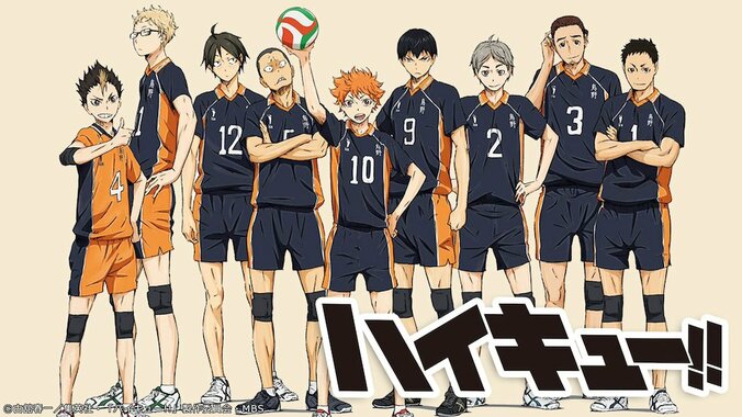 “ハイキュー!!の日”特別企画　『ハイキュー!!』TVアニメ全話＆劇場版総集編4作品を3連続一挙放送決定！ 5枚目