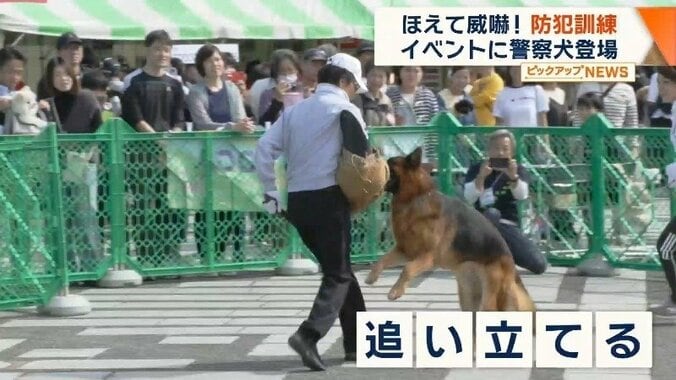 逃げ出す不審者を追い立てる