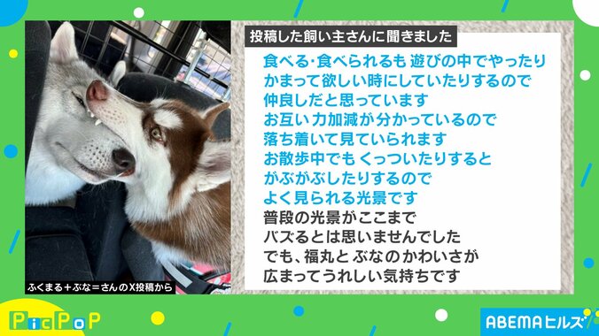 飼い主さんに聞きました