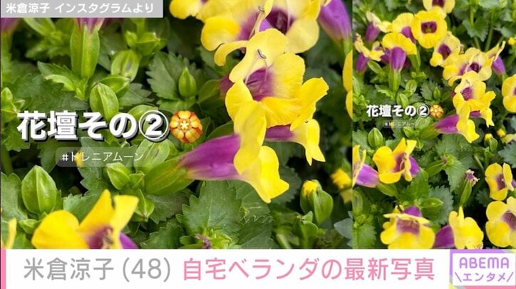 【写真・画像】米倉涼子、一新した自宅ベランダの最新ショット公開 2枚目