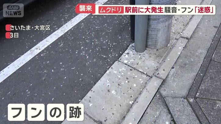 足元には大量のフンの跡