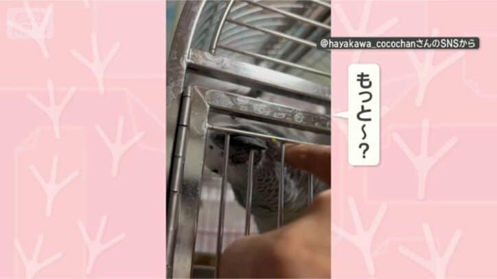 もっとカキカキして