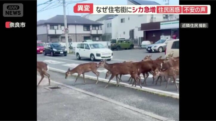 後ろでは車が渋滞