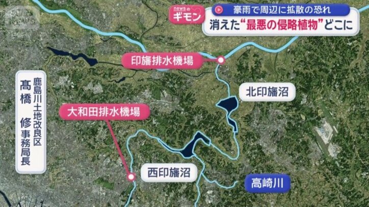 下流までナガエツルノゲイトウが流れ着くと…