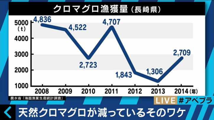 クロマグロが世界的に減少 長崎の漁師が「自主禁漁」