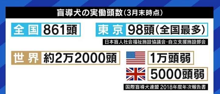 “同伴可”のレストランなのに“入店拒否”も…視覚障害者の女性「私のパートナー、盲導犬の姿を知って」