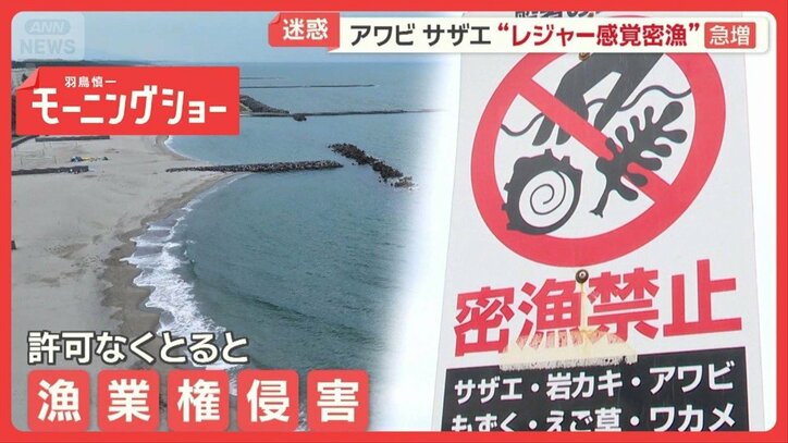 海水浴客に紛れ「潜っていただけ」“レジャー型密漁”急増 検挙の一部始終