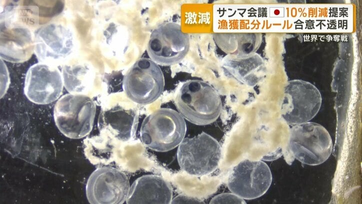 実用化への期待