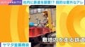 会社の敷地内に40mの“鉄道敷設”…意外すぎる目的に驚き! 運搬効率化と大量生産の実現で担当者「楽しさも倍増」