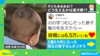 【映像】台風のようなつむじに成長した息子の髪形