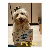 三浦りさ子『次男の２０歳の誕生日』