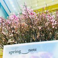 『平和なへいわな夫のLINE』