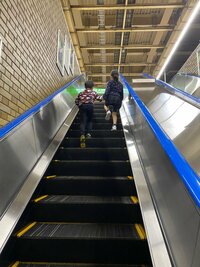 市川海老蔵『明日新潟でお米の収穫するので』