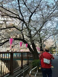 鈴木おさむ『逆流？？』