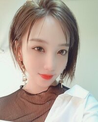 ざわちん『バッサリ20cmカットのショートヘア』