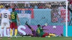 セルビア人美女サポーターが大歓喜！ セルゲイ・ミリンコビッチ サビッチの逆転弾にスタジアム大歓声