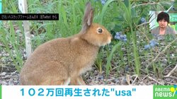 野生の“従業員さん”？ 農園になくてはならない働きぶりに「素敵な関係」「win-winでほっこり」の声
