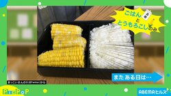 オカンに作ってもらったけど… 独特のセンスが光る母親の斬新な"手作り弁当"に「最高すぎでしょ…！」「どうやって食べろと？」と感嘆の声