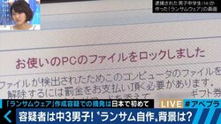 ランサムウェア作成の中3男子　天才の卵？悪魔の才能？
