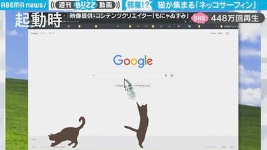 ネコページ 邪魔くせぇwwだがそれが良い」マウスの移動量でネコが集まる拡張機能