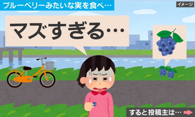 誰にも告げずに家出して…