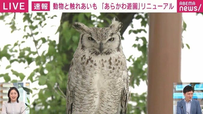 “日本で一番遅い”ジェットコースターに0から生まれ変わった観覧車、アルパカに猛禽類とのふれあいまで 「あらかわ遊園」を徹底取材 4枚目