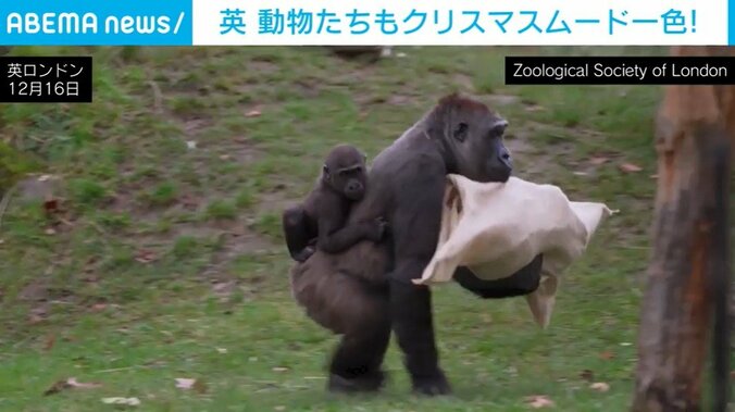 ロンドン動物園