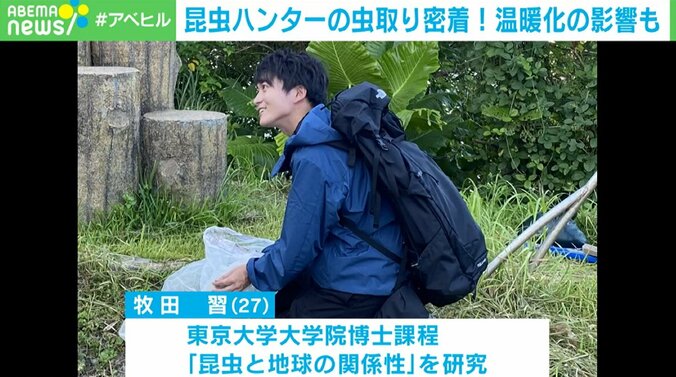東大院生の昆虫ハンター「家族はむしろ虫嫌い」 子どもの“夢中になる力”を伸ばすには 3枚目