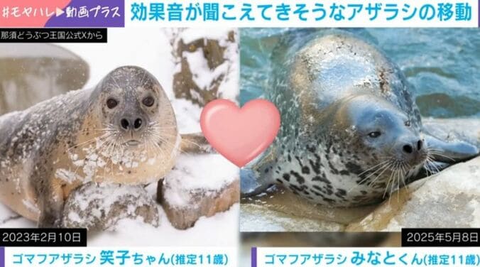 笑子ちゃんとみなとくん