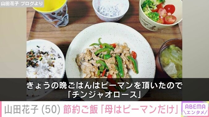 山田花子 ブログより