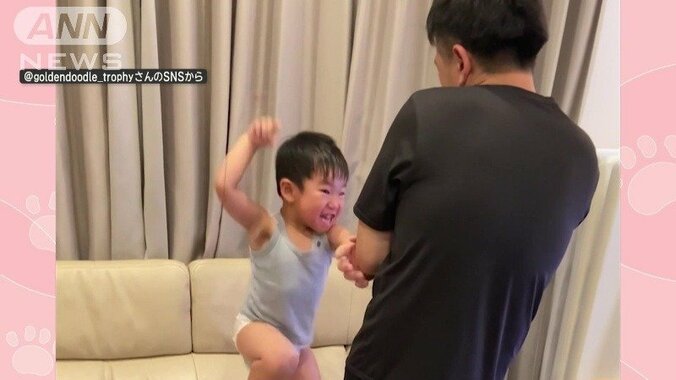 男の子とお父さんが、ボクシングのまねをして遊んでいると！