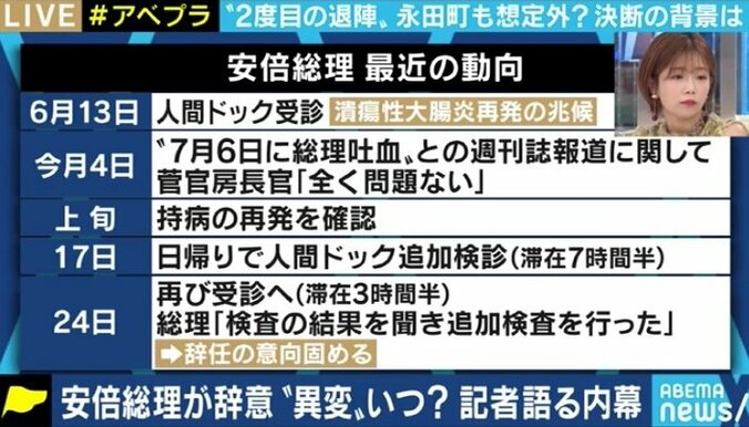 「安倍さんは後継者を絞りきれてはいないのでは」「秋の解散総選挙も睨んだ総裁選になる」辞任会見、“ポスト安倍”争いをどう見る？ 3枚目