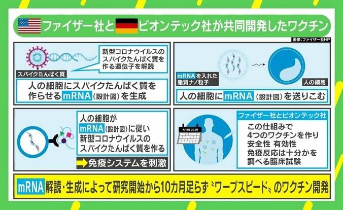 阪大・宮坂名誉教授「今の段階では打たない」 感染リスクとワクチンによる健康被害リスク、判断どうすべきか 3枚目