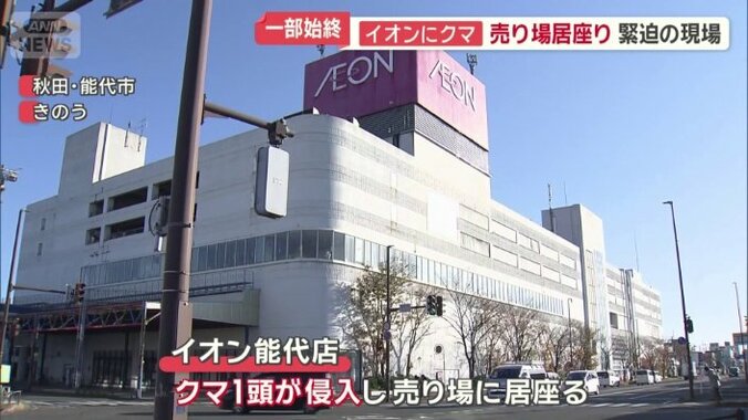 イオン能代店にクマ1頭が侵入