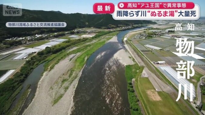 高知県中部を流れる一級河川・物部川