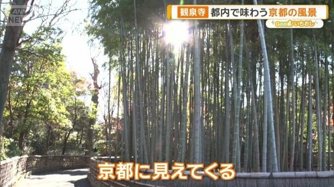 東京・杉並区　観泉寺