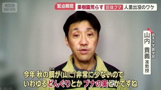 なぜクマはこの時期になっても出没するのか