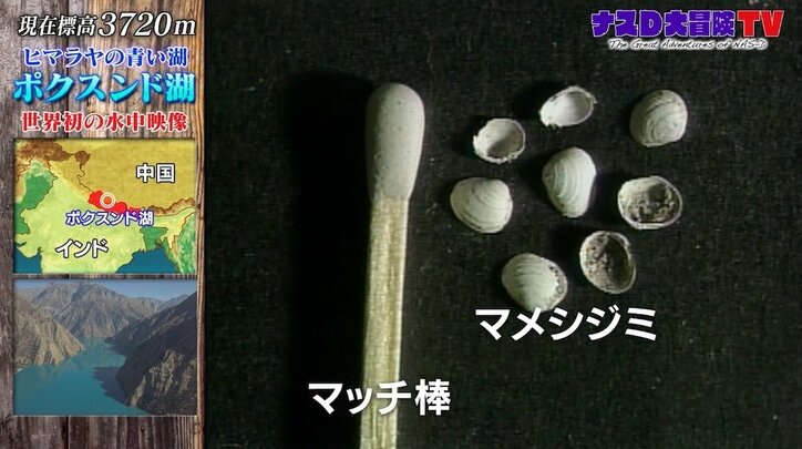 「ナスD大冒険TV」“ヒマラヤの青き瞳”ポクスンド湖、驚きの水中映像が公開