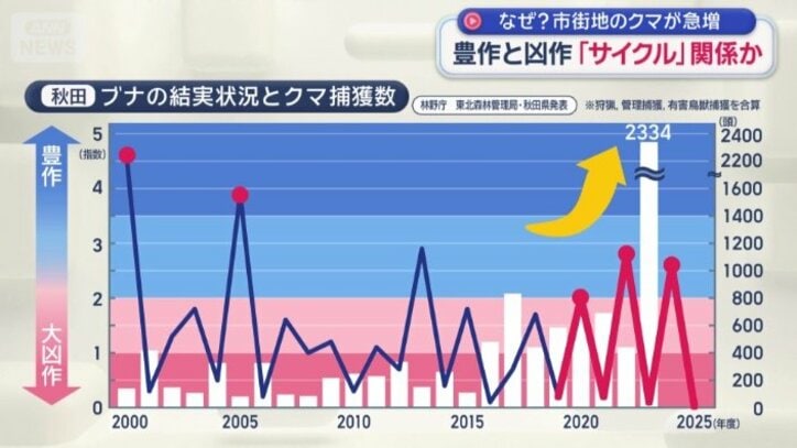秋田　ブナの結実状況とクマ捕獲数