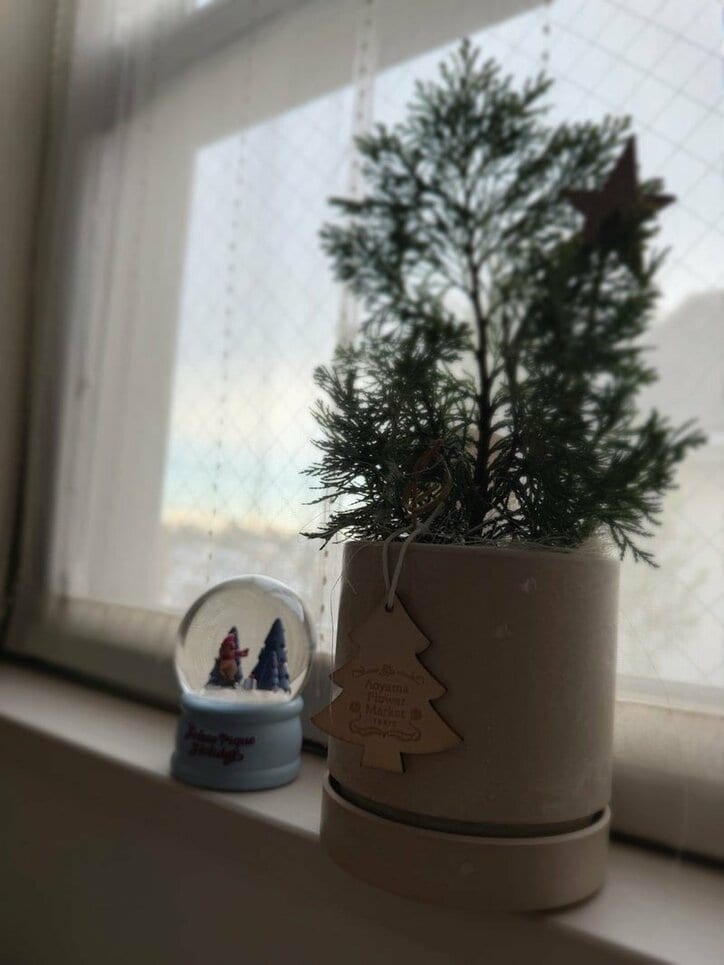 細川直美の投稿